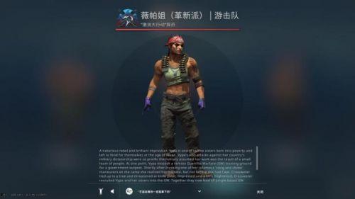 csgo新皮肤最新爆料,神秘图案揭示，玩家热议新视觉盛宴  第3张