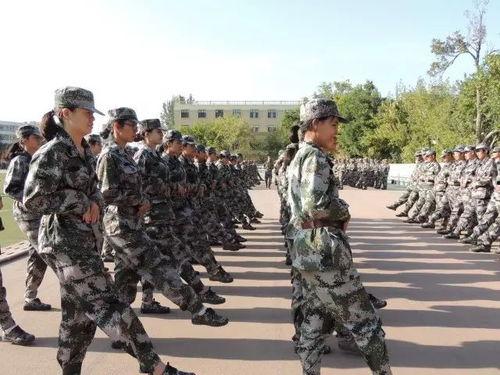 军训最新爆料文案,最新爆料揭秘训练场上的热血瞬间 第2张 军训最新爆料文案,最新爆料揭秘训练场上的热血瞬间 第2张